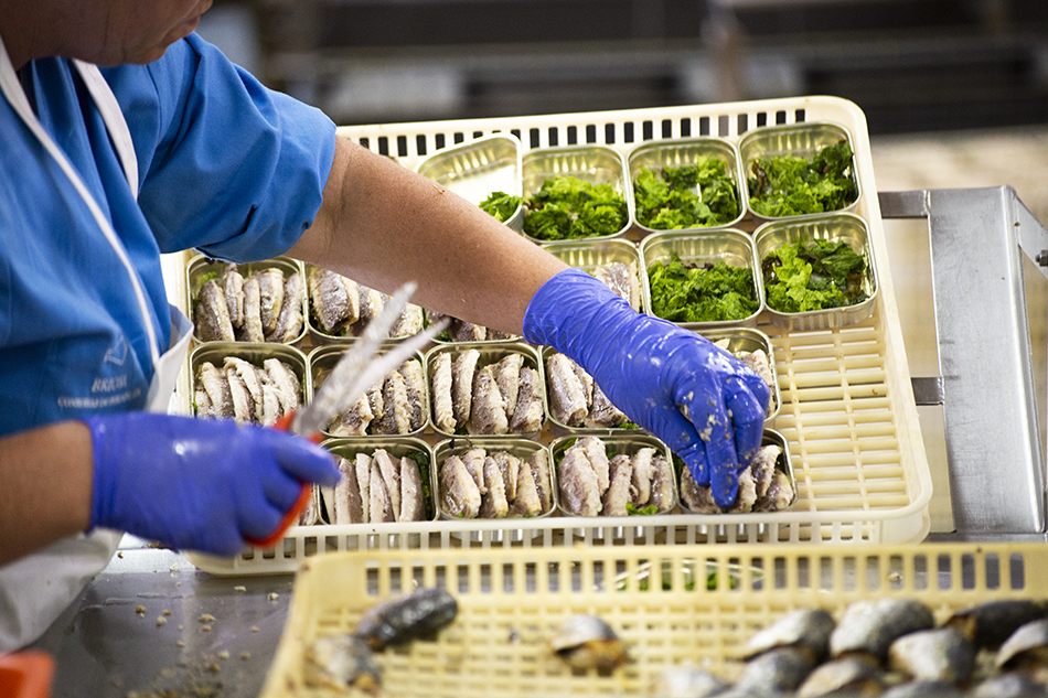 sardine fillets, organic olive oil & seaweed—case of 12